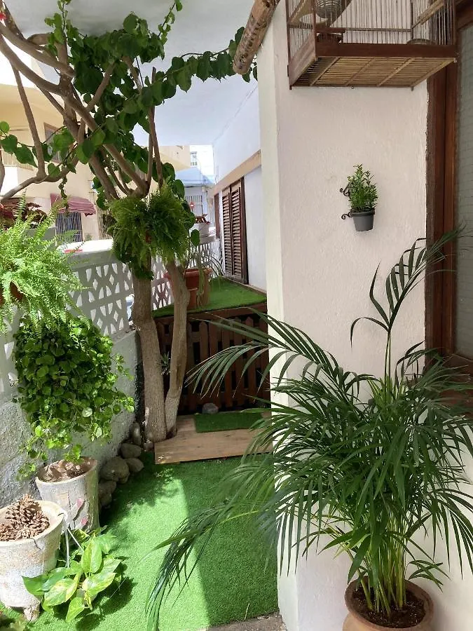 Apartment Studio At El Medano 100 M Away From The Beach With Enclosed Garden And Wifi